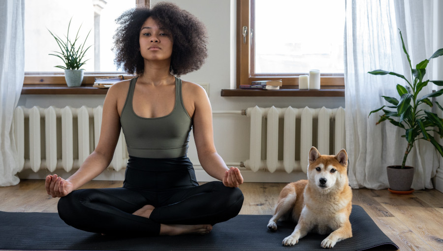 Woman doing workout with her dog