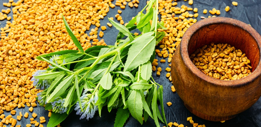 fenugreek